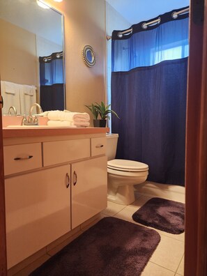 Ensemble douche/baignoire, sèche-cheveux, serviettes fournies, savon