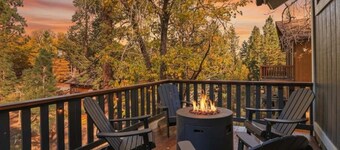 Closer to the Stars Fire Pit Dog-Friendly