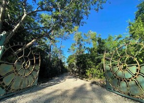 Property grounds - Coco Cottage - 1BD, 3 min drive to Albany / Lyford (Nassau)