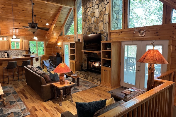 TV connectée, cheminée, livres, chaßne hi-fi