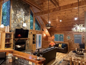 Smart TV, fireplace, books, stereo