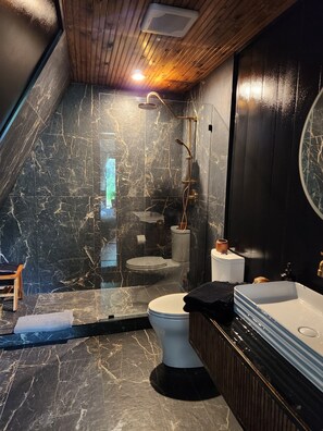 Douche, séchoir à cheveux, serviettes fournies, savon