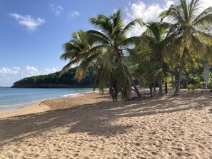 Plage à proximité