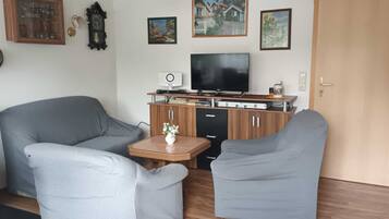 Smart TV, fireplace, DVD player, books