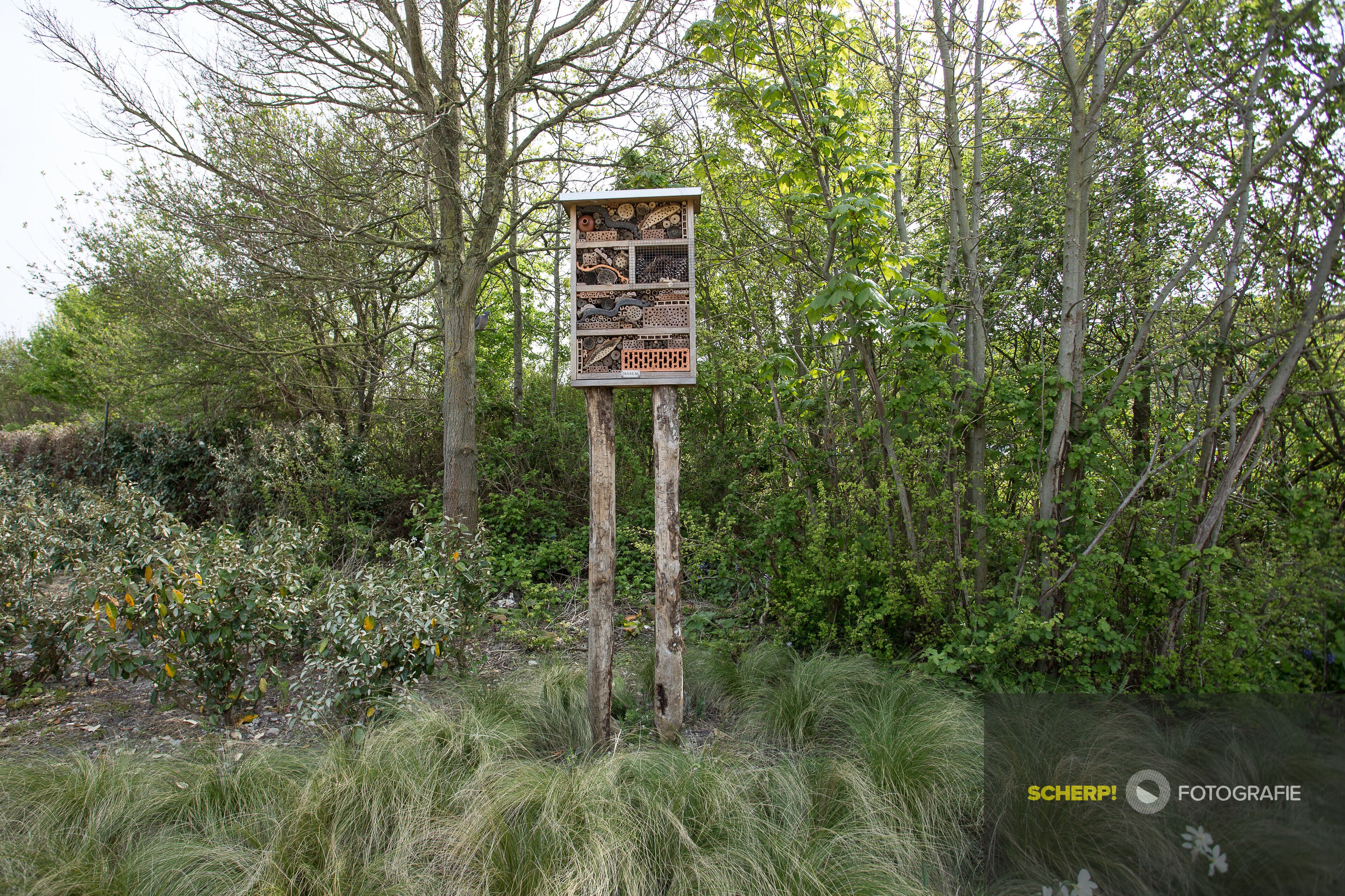 A wooden sign with various compartments, surrounded by dense greenery.