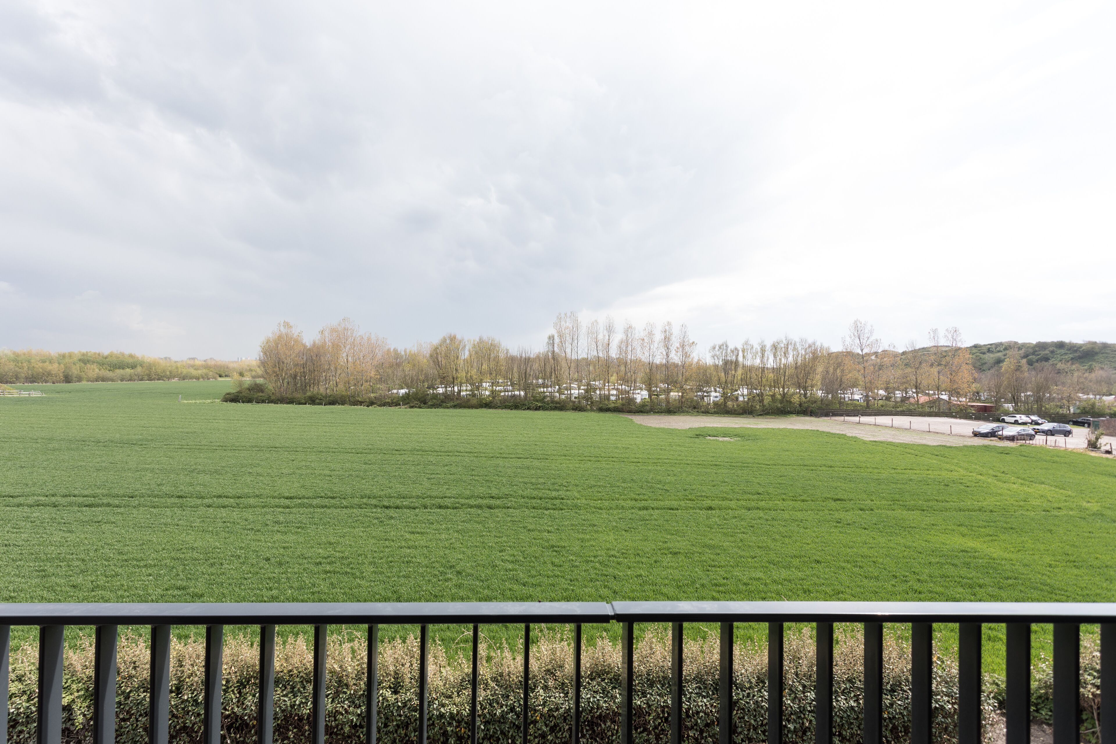 Blick auf ein grünes Feld, im Vordergrund ein Zaun und im Hintergrund eine Baumreihe.