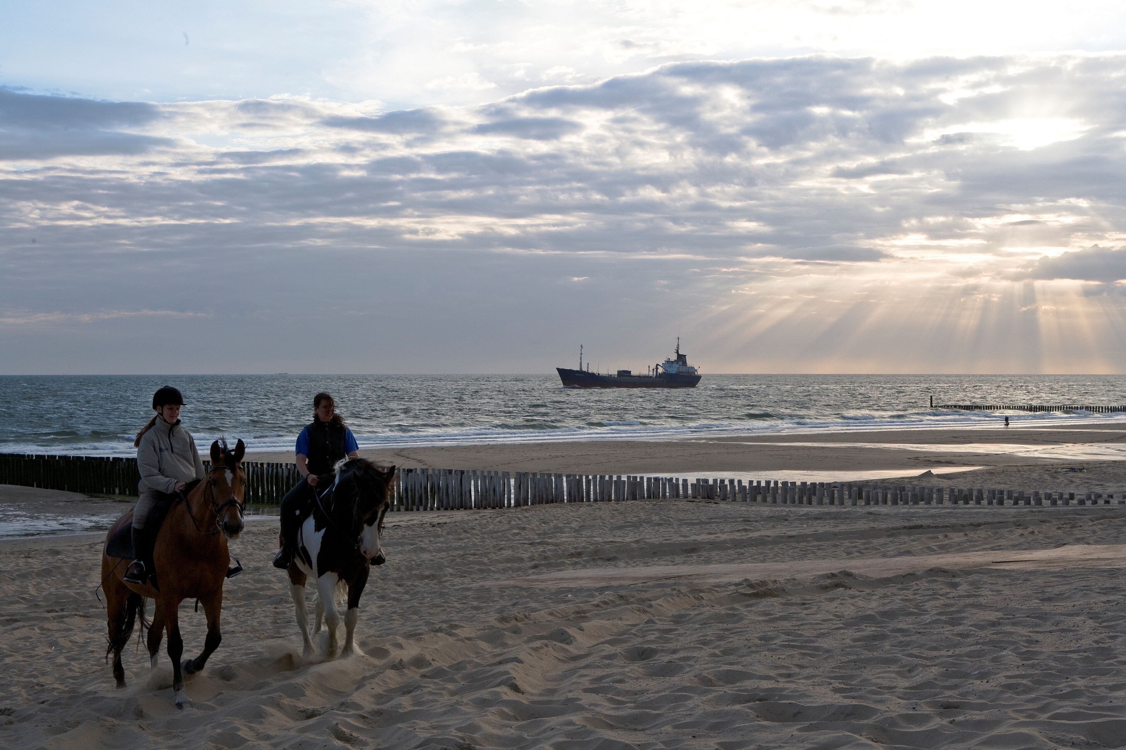 A beach with horses and riders, a ship in the distance, and a wooden fence along the shore.