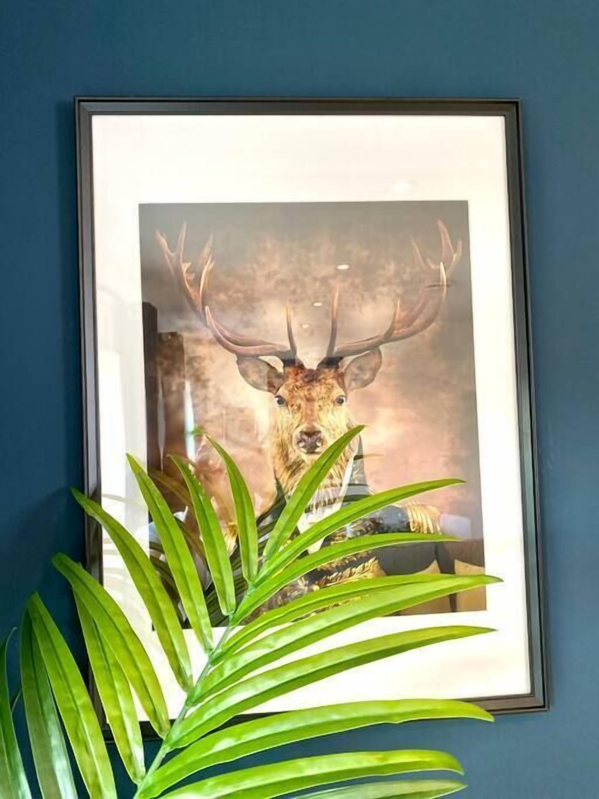 Fotografía enmarco de fauna silvestre con una planta en primer plano.