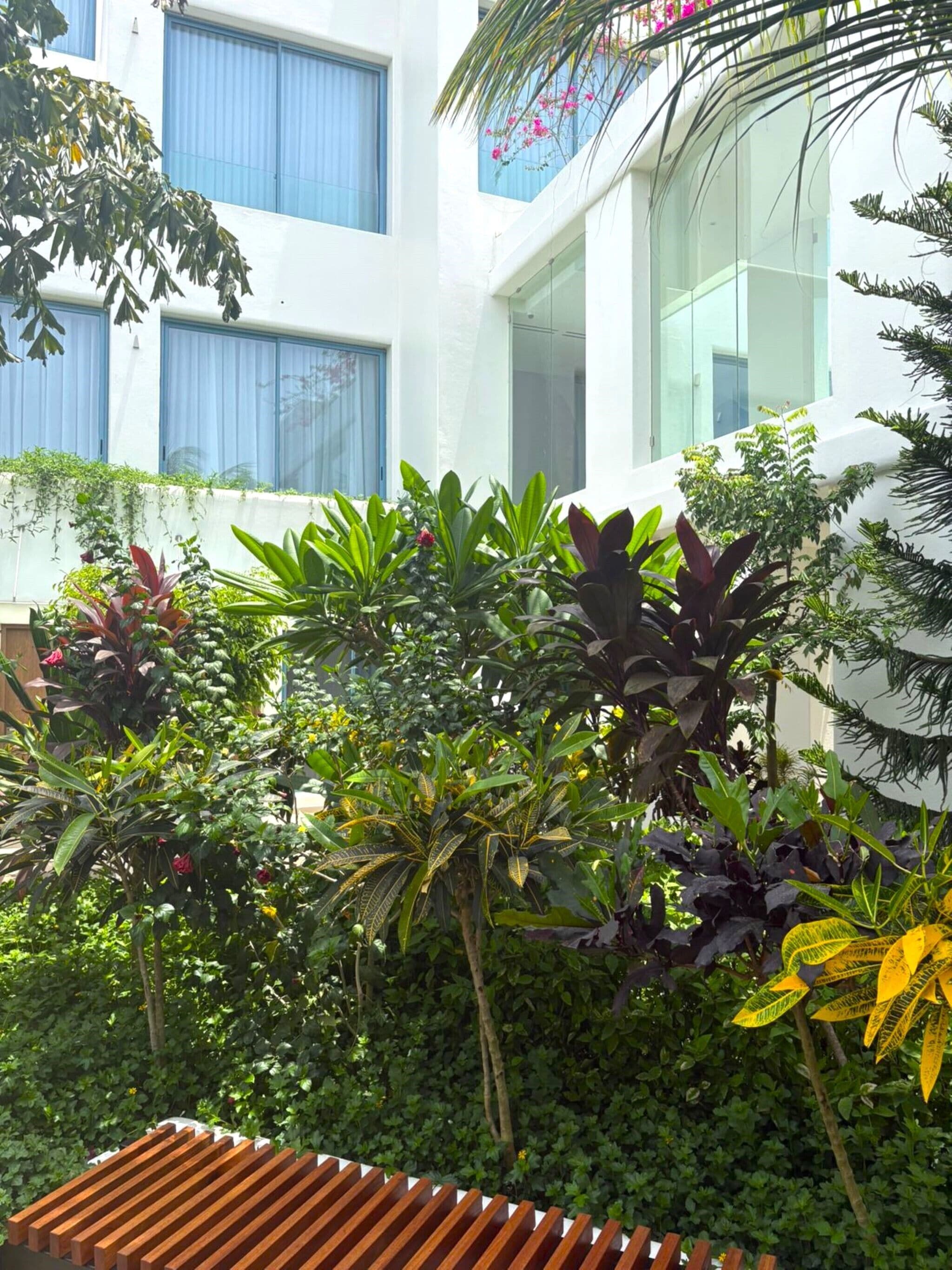 A courtyard with lush greenery, a wooden bench, and a building with large windows and a balcony.