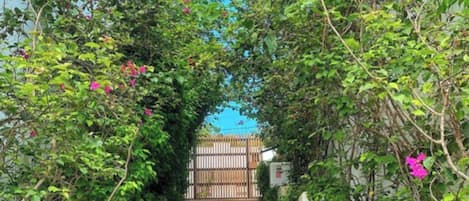 Jardín