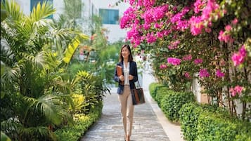 Garden view