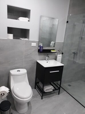 Shower, hair dryer, soap, toilet paper - Casita: 1 queen bed studio w/kitchen (Tamarindo)