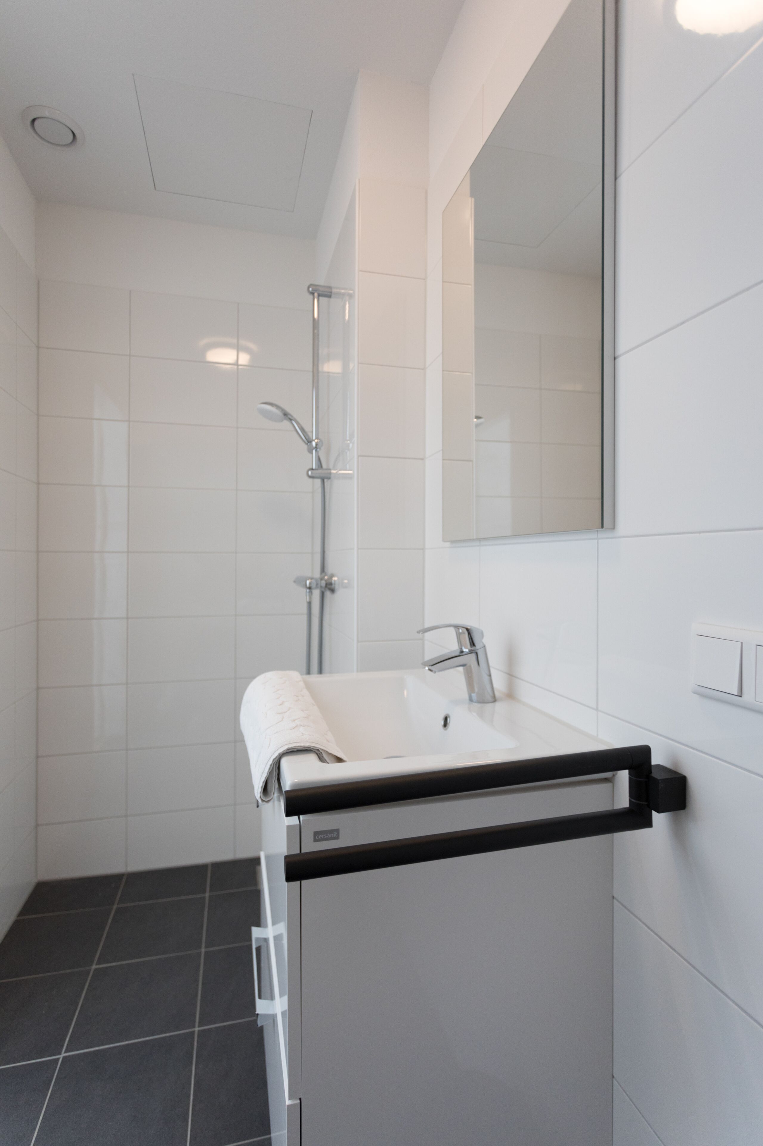 Ein modernes Badezimmer mit Waschbecken, Spiegel und Dusche.