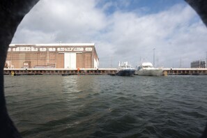 Vista desde la habitación