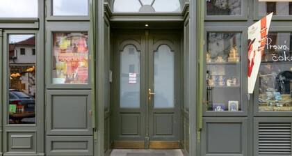 Renovated bohemian loft apartment near Prague Castle