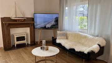 TV connectée, cheminée, livres, chaßne hi-fi