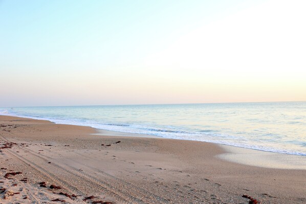 Plage à proximité, chaise longue, serviettes de plage