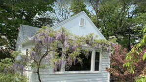 A white wooden house with a gabled roof, surrounded by lush greenery and purple flowering trees.