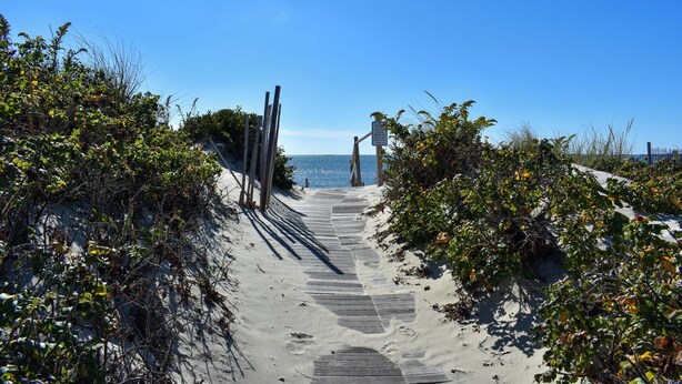 Un sentier de sable qui longe la plage et mène à l’océan, bordé de végétation.