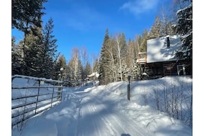 Escape to a serene winter wonderland surrounded by evergreen trees and a cozy cabin with a chimney.
