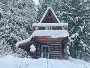 Exterior - La Luna Tiny Cabin (Sagle)