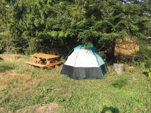 Pitch a tent and enjoy the serene forest surroundings.