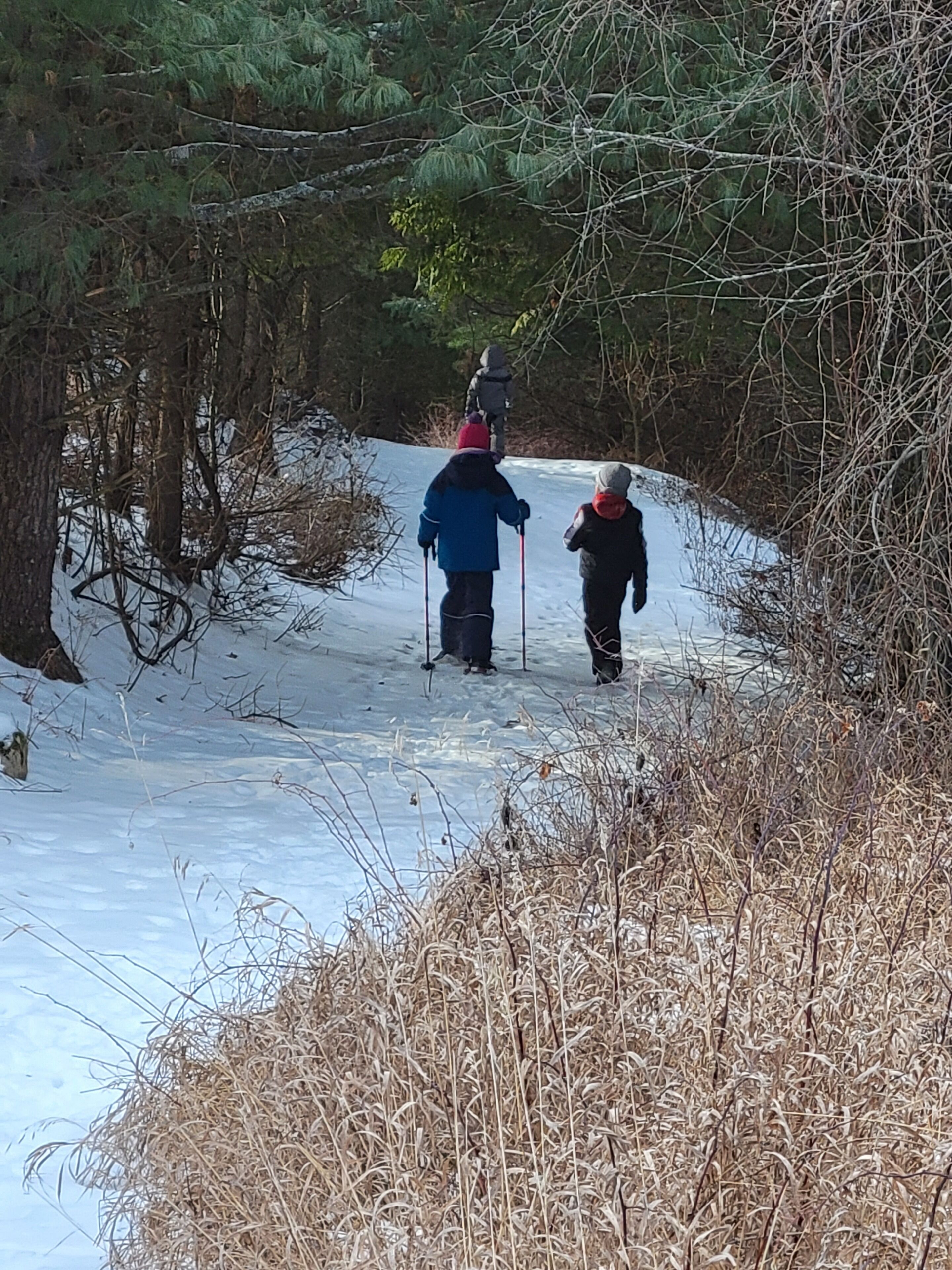 A snowy path with two people walking, surrounded by trees and dry grass.
