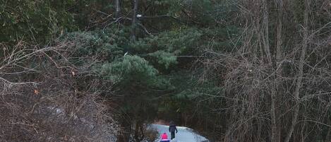 Un sendero nevado bordeado de árboles y vegetación seca.