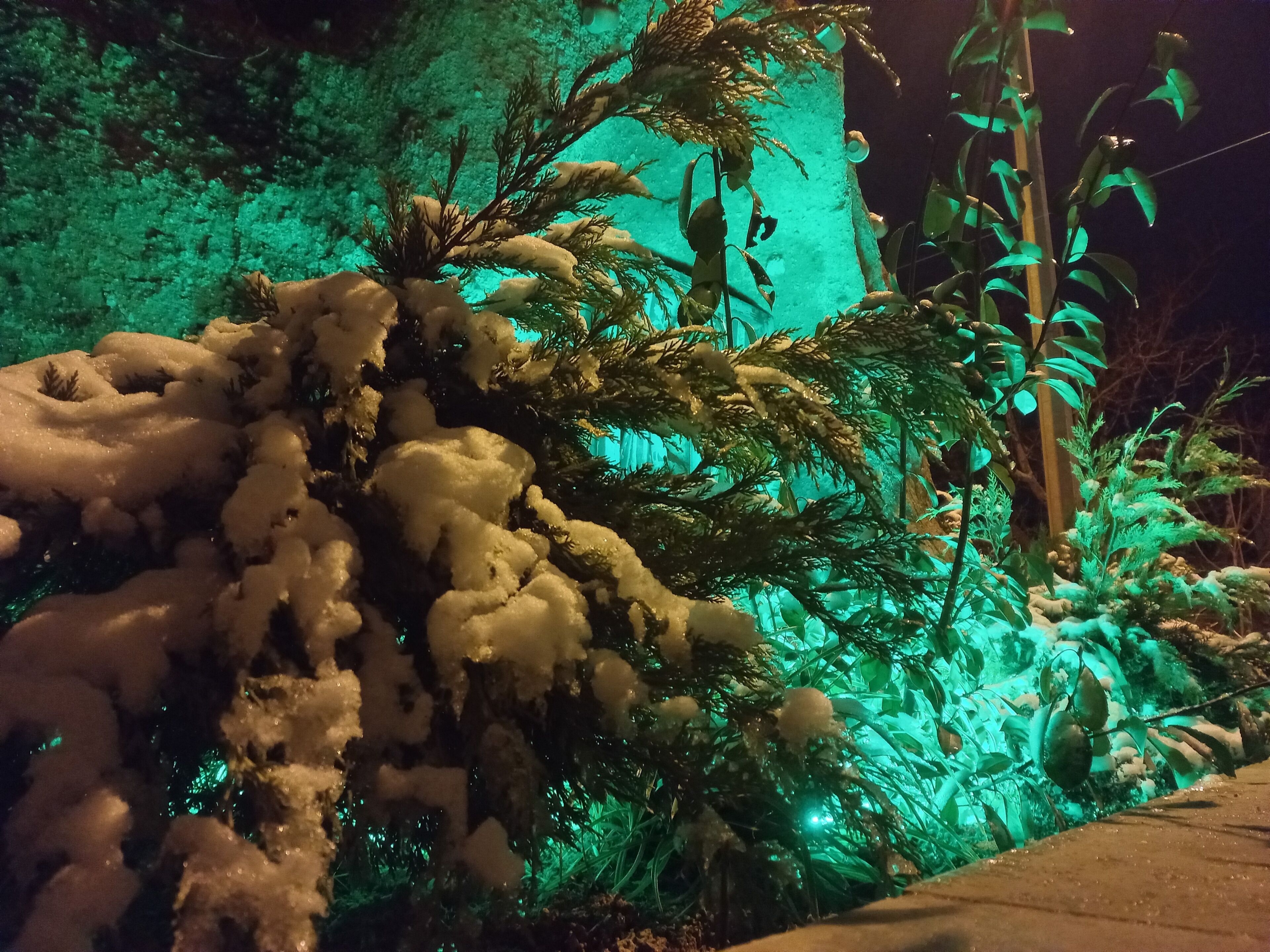 A snow-covered outdoor area with artificial lighting, possibly a garden or park setting.