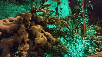 A snow-covered outdoor area with artificial lighting, possibly a garden or park setting.