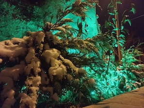 Zona exterior cubierta de nieve con iluminación artificial, posiblemente un jardín o parque.
