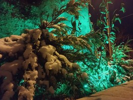 Zona exterior cubierta de nieve con iluminación artificial, posiblemente un jardín o parque.