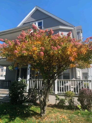 Bright and cozy 3 bedroom apartment in Chicopee with AC, WiFi. Enjoy your stay