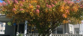 Bright and cozy 3 bedroom apartment in Chicopee with AC, WiFi. Enjoy your stay