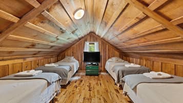 3 bedrooms, iron/ironing board, free WiFi, bed sheets