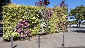 A vertical garden with a variety of plants and flowers, a paved walkway, and bollards along the edge.
