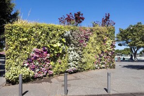 Ein angelegter Garten mit verschiedenen Pflanzen und Blumen, ein gepflasterter Weg und Betonpoller.