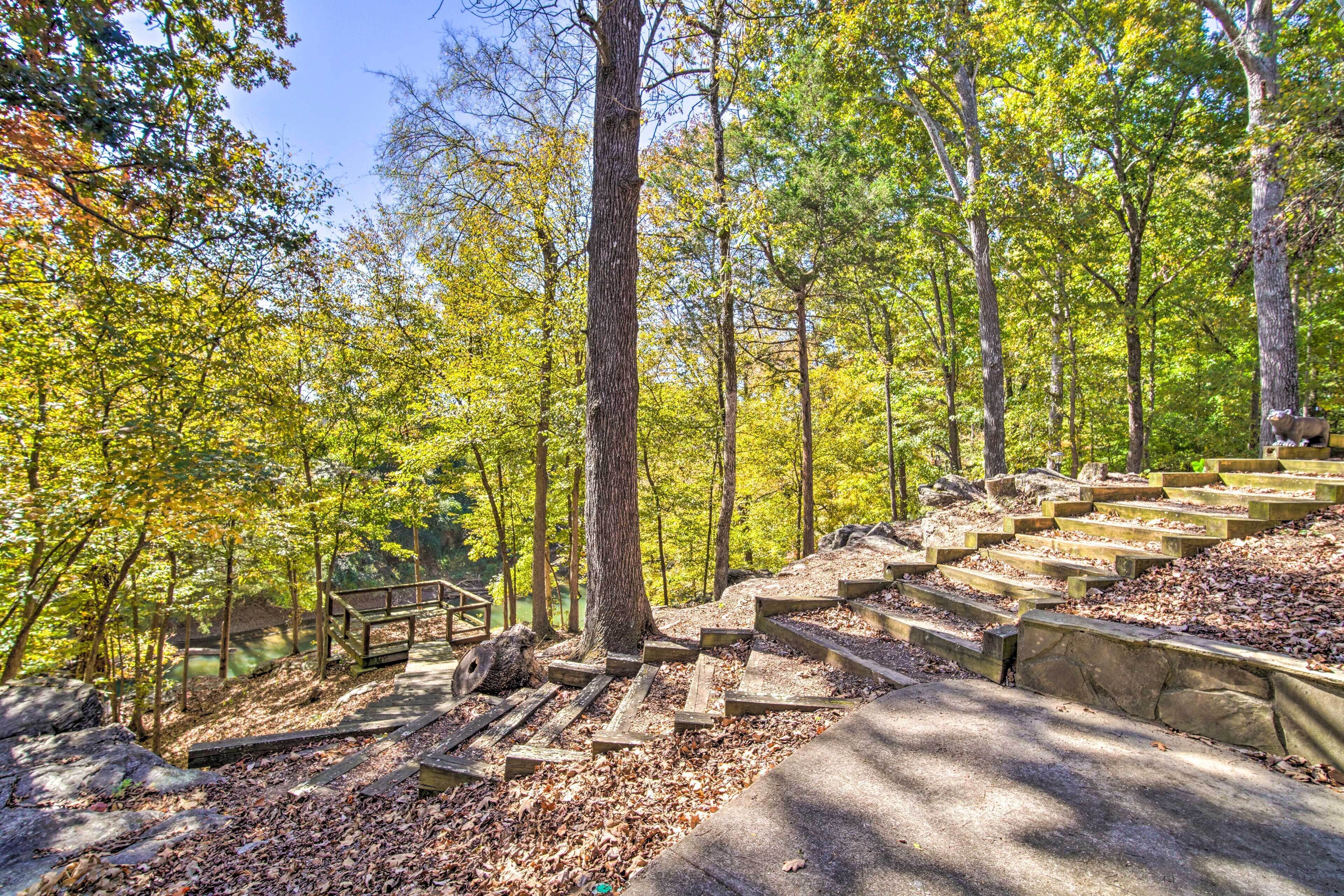 A forested area with a stone staircase leading up to a wooden platform.