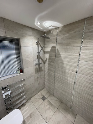 Shower, free toiletries, hair dryer, towels