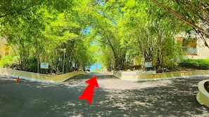 Eine Straße, gesäumt von Bambuspflanzen, mit einem roten Pfeil, der geradeaus zeigt.