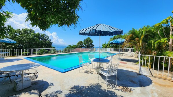 Ein Swimmingpool mit Blick auf den Ozean, umgeben von Palmen und einem weißen Zaun.