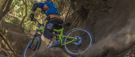 A mountain biker navigating a dirt trail.