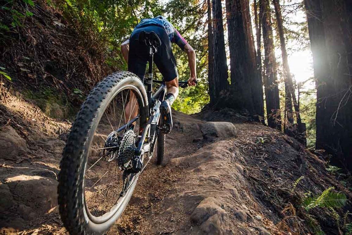 Un vététiste sur un sentier de terre, entouré d’arbres.