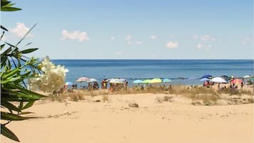 Plage Ă proximitĂ©, pĂȘche sur place