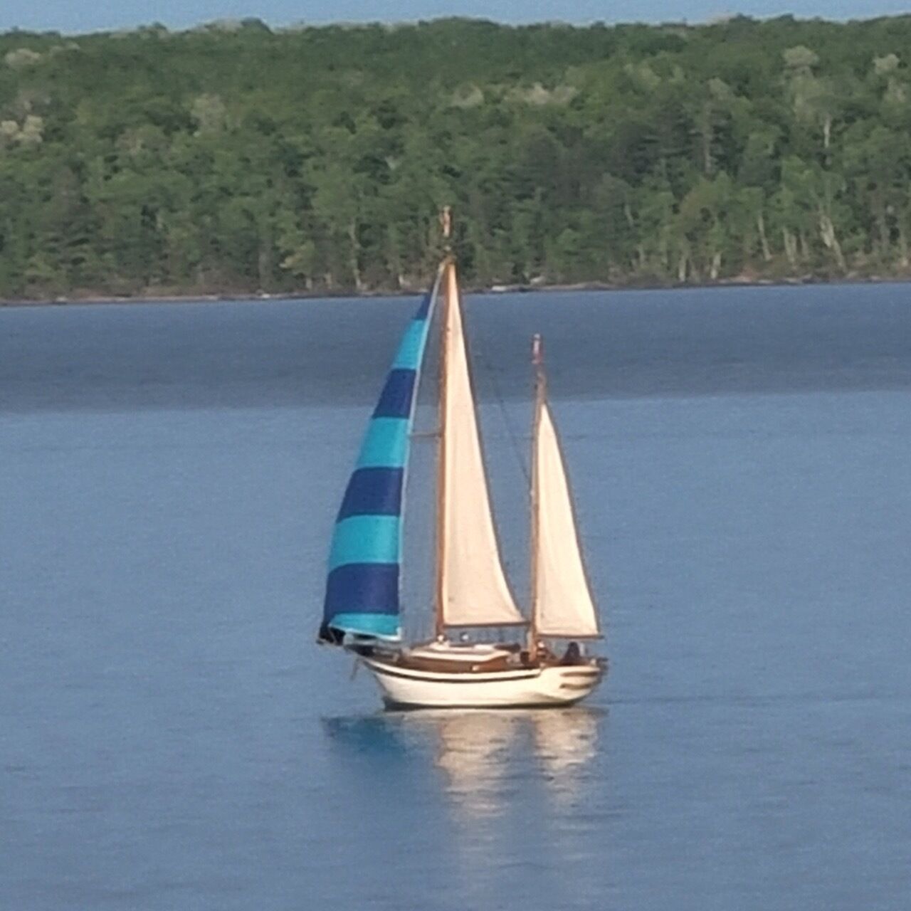 Una barca a vela su acque calme, con una costa alberata sullo sfondo.