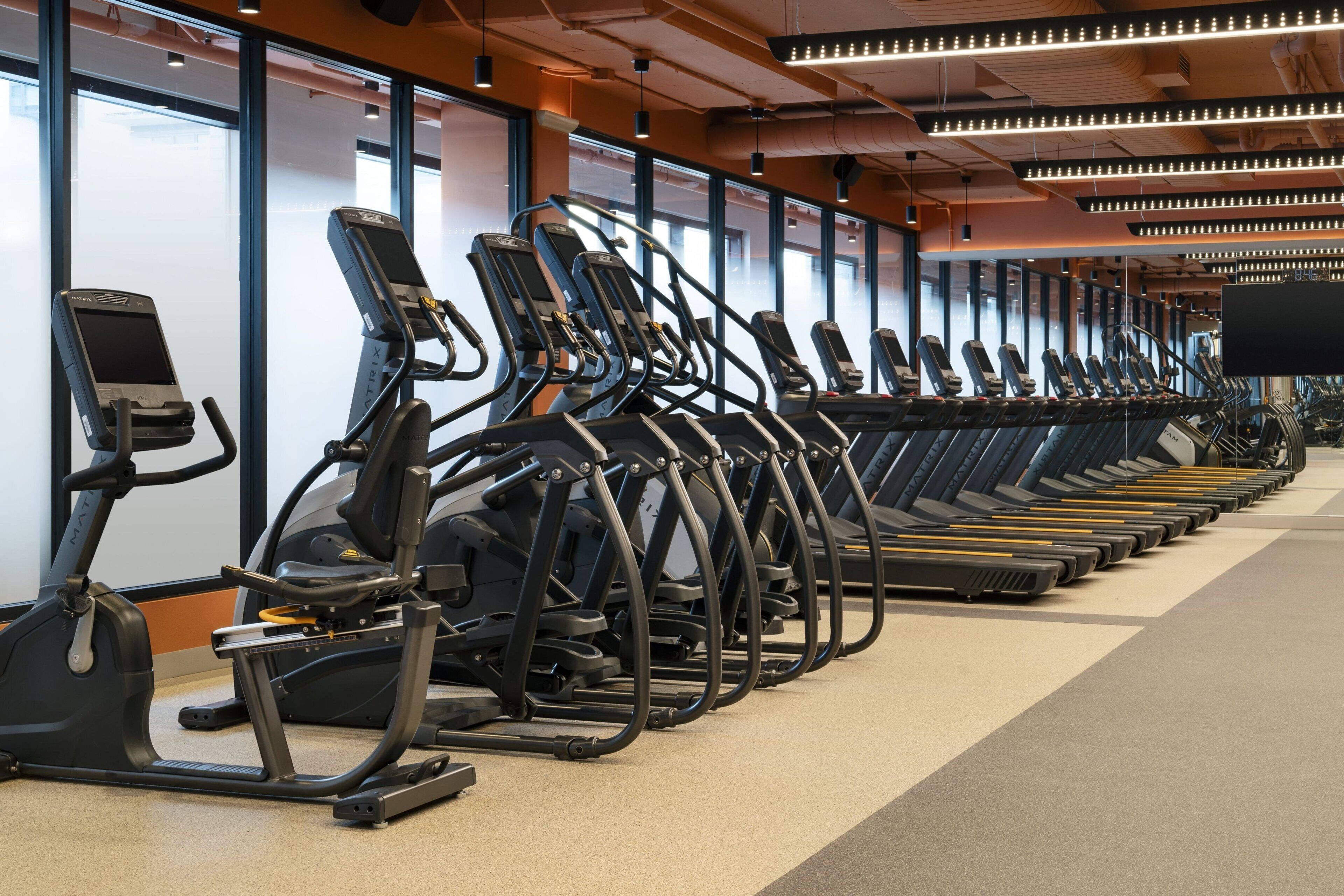 A row of stationary bikes in a gym with large windows and a modern ceiling design.