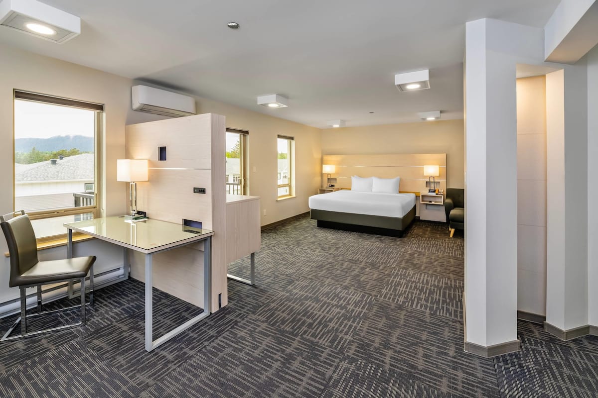 Room, 1 King Bed, Non Smoking (Efficiency)