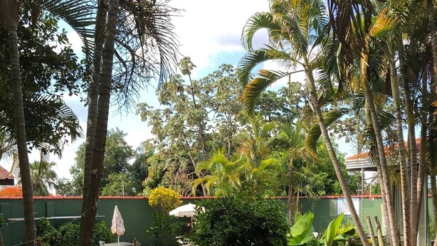 A pool area surrounded by tropical plants and a fenced pool. - Pousada Hits Foz (Foz do Iguaçu)