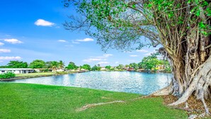 Un parque tranquilo con un estanque grande, abundante vegetación y un árbol destacado de raíces extensas.