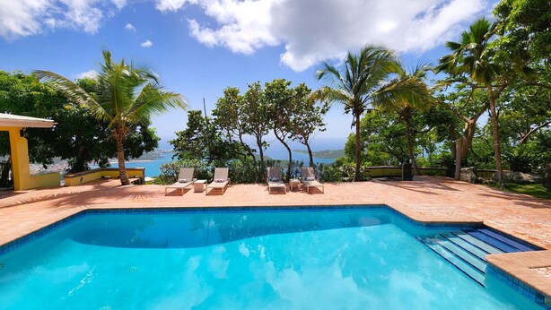 Une piscine avec des chaises longues et des palmiers, offrant une vue sur la côte.